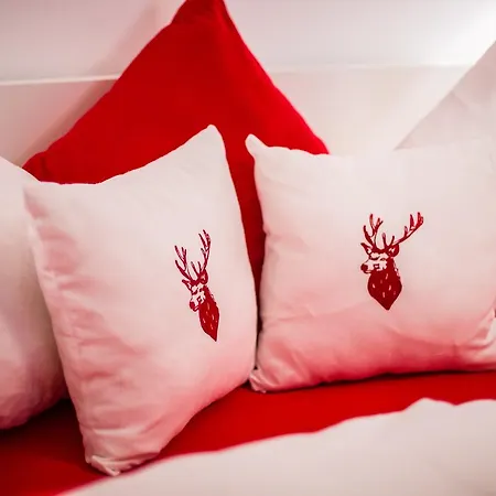 Haus Frank Nr 7 By Monicare 公寓 蒂罗尔-泽费尔德